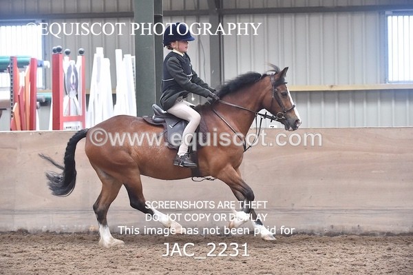 JAC_2231 - CLASS 2 Novice Working Hunter