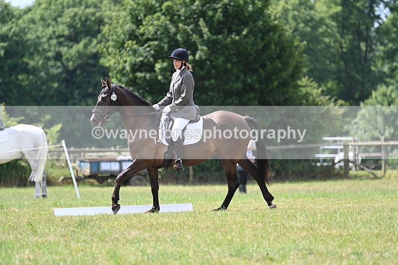 WJ7_4837 - Time 11:22 to 11:51