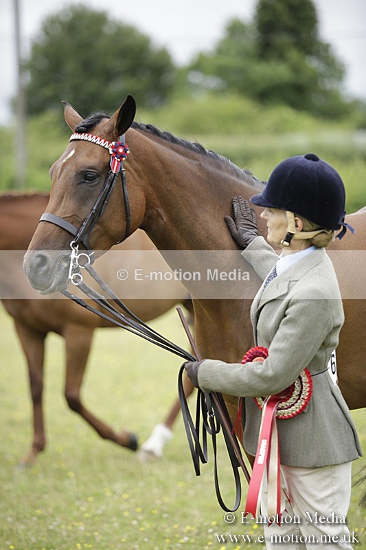 BVR160717-1122 - In Hand Championship 16/07/17