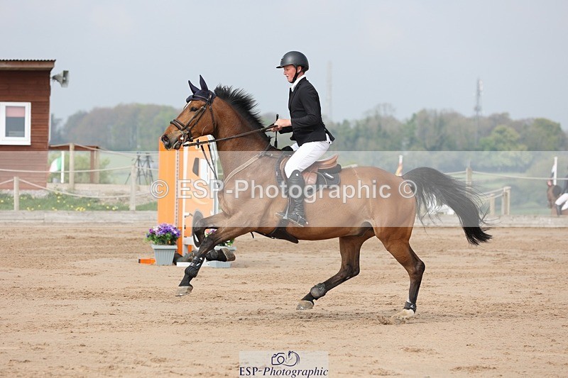 250424-105017-03252 - Cls 33 Young Horse 7yr old