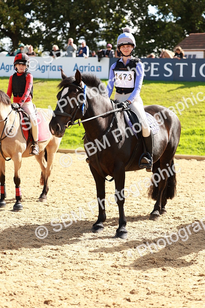 SBM_17417 - E4b - Eventers Challenge 60cm Open