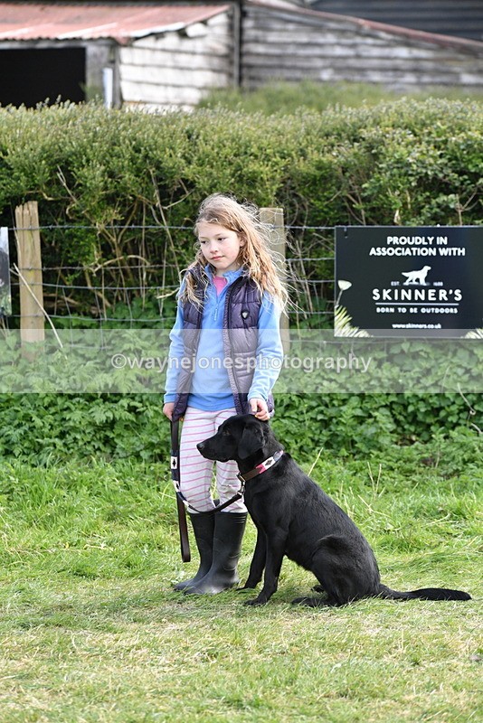 WJ5_0693 - Best in Show Championship