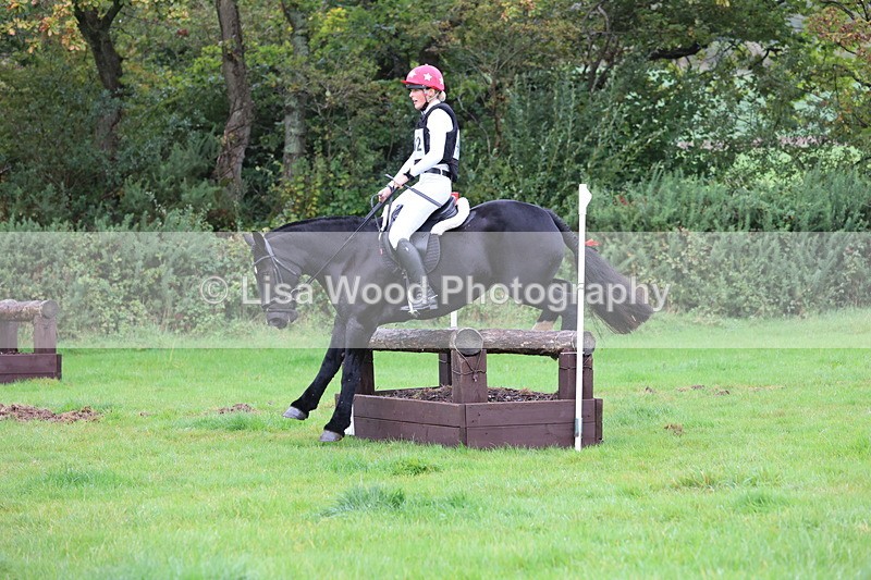 JPP_5378 - Class 4: 80cm: Crossed Logs