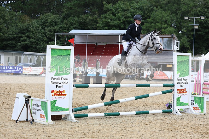 3E7A5066 - Class 4: Senior British Novice/90cm open