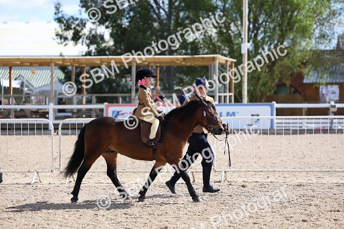 SBM_13058 - Class 309 - Lead Rein Pony