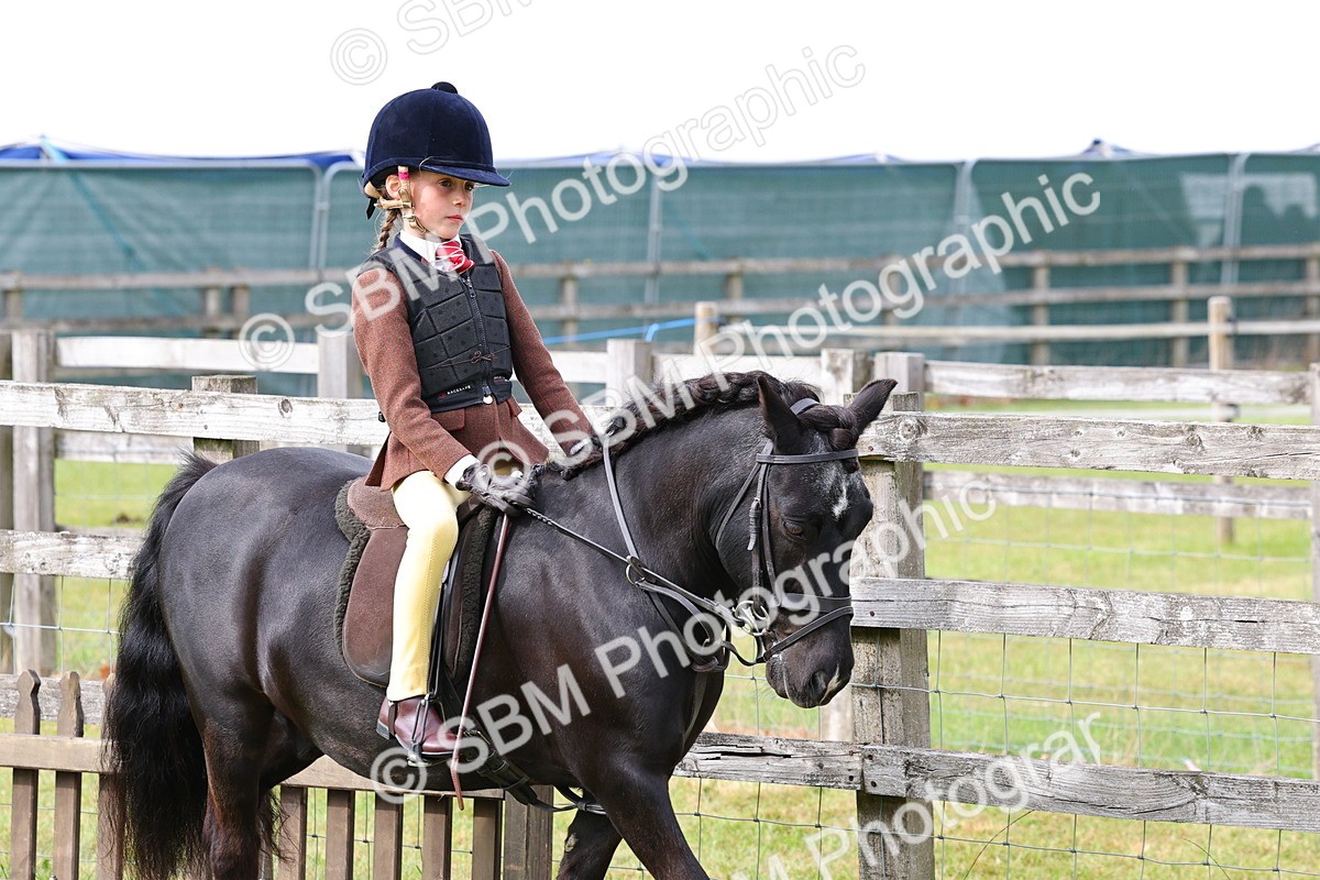 SBM_09624 - Class 44-45 - LIHS BSPS Open Nursery and Cradle Stakes