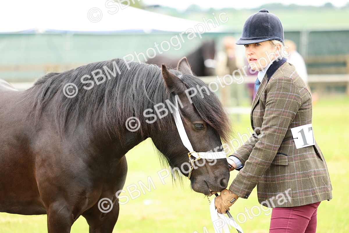 SBM_00425 - Class 58-67 - M&M Non Welsh Pony In hand