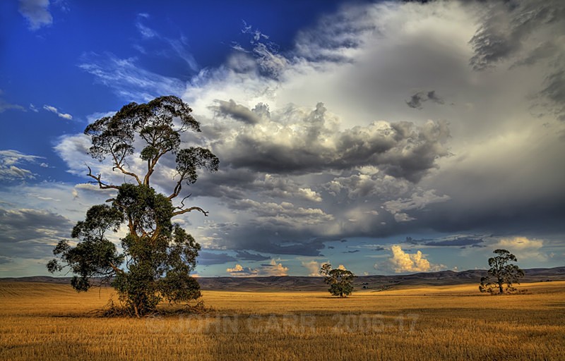 ThreeTrees-HDR-0109_8 - STORM/CLOUD CHASE PHOTOS 23/1/2012
