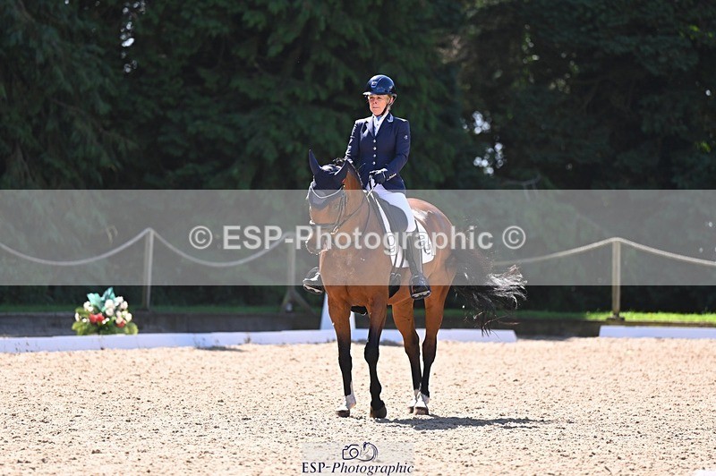 240809-111158-00514 - 133-Dawn.Bear-First.Taylor.Made