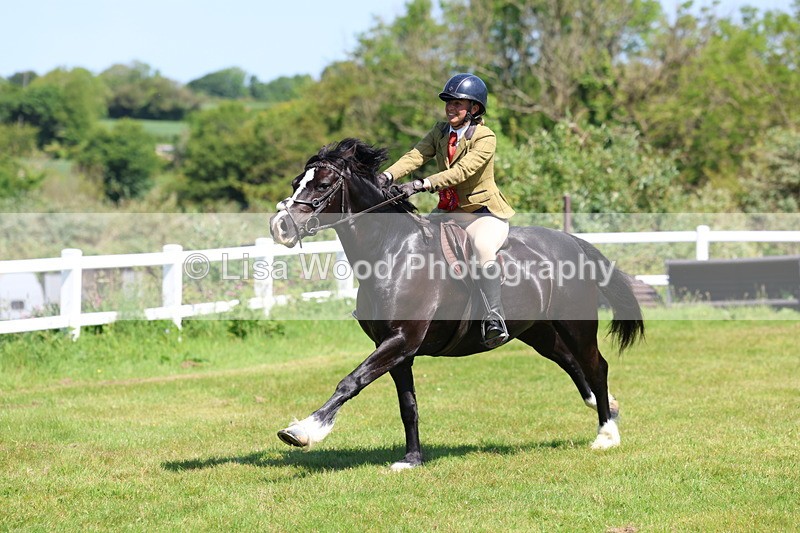 3E7A6778 - Working Hunter Pony Championship