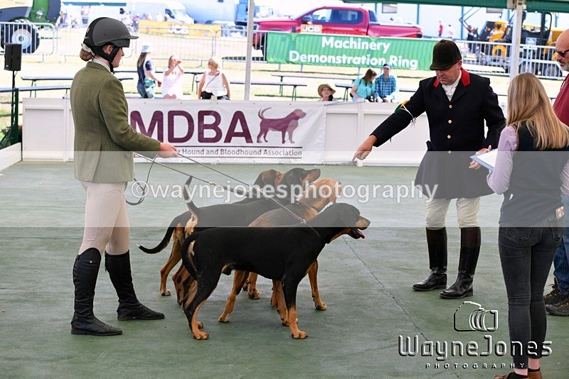 WJ5_0723 - Berks & Bucks at the Great Yorkshire Show 2025