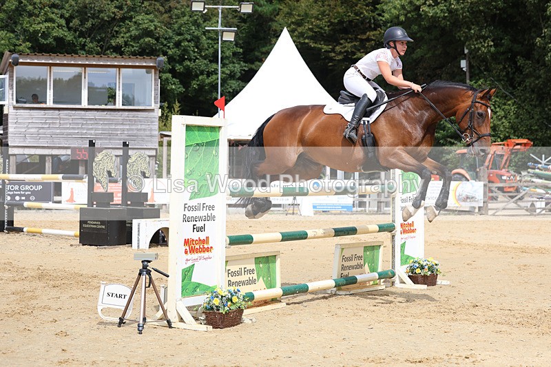 3E7A4336 - Class 8: Senior Foxhunter/1.20 open