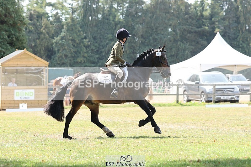 250823A-123342-29827 - Arena C