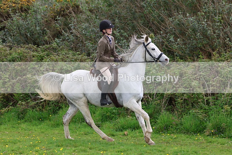 3E7A2092 - Class 11: Ridden Arab