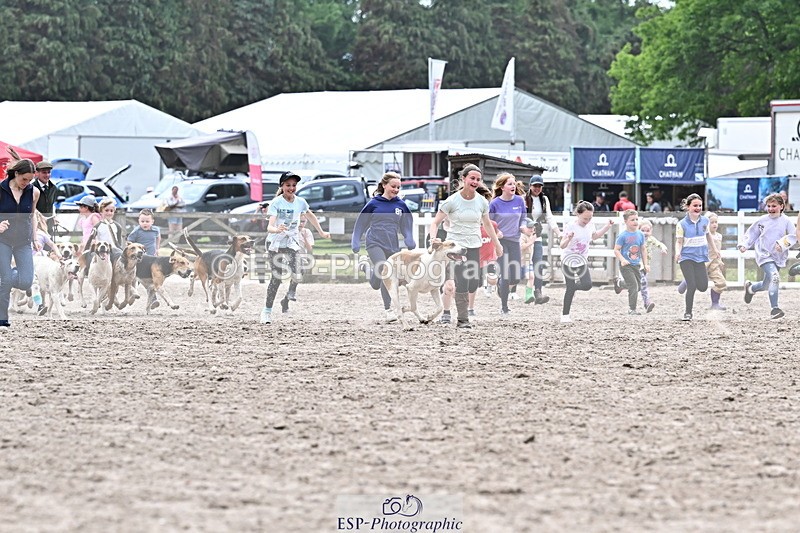 250524A-152835-12768 - East Devon Hounds