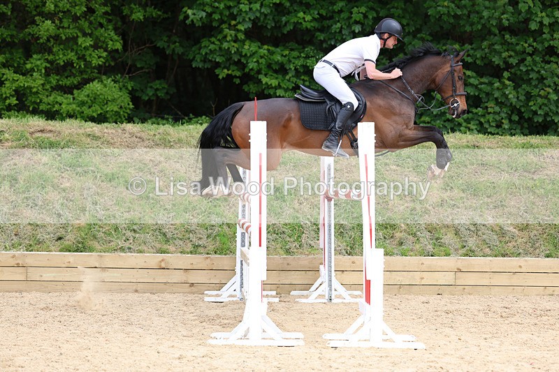 3E7A7468 - Class 8: Senior Foxhunter/1.20 open