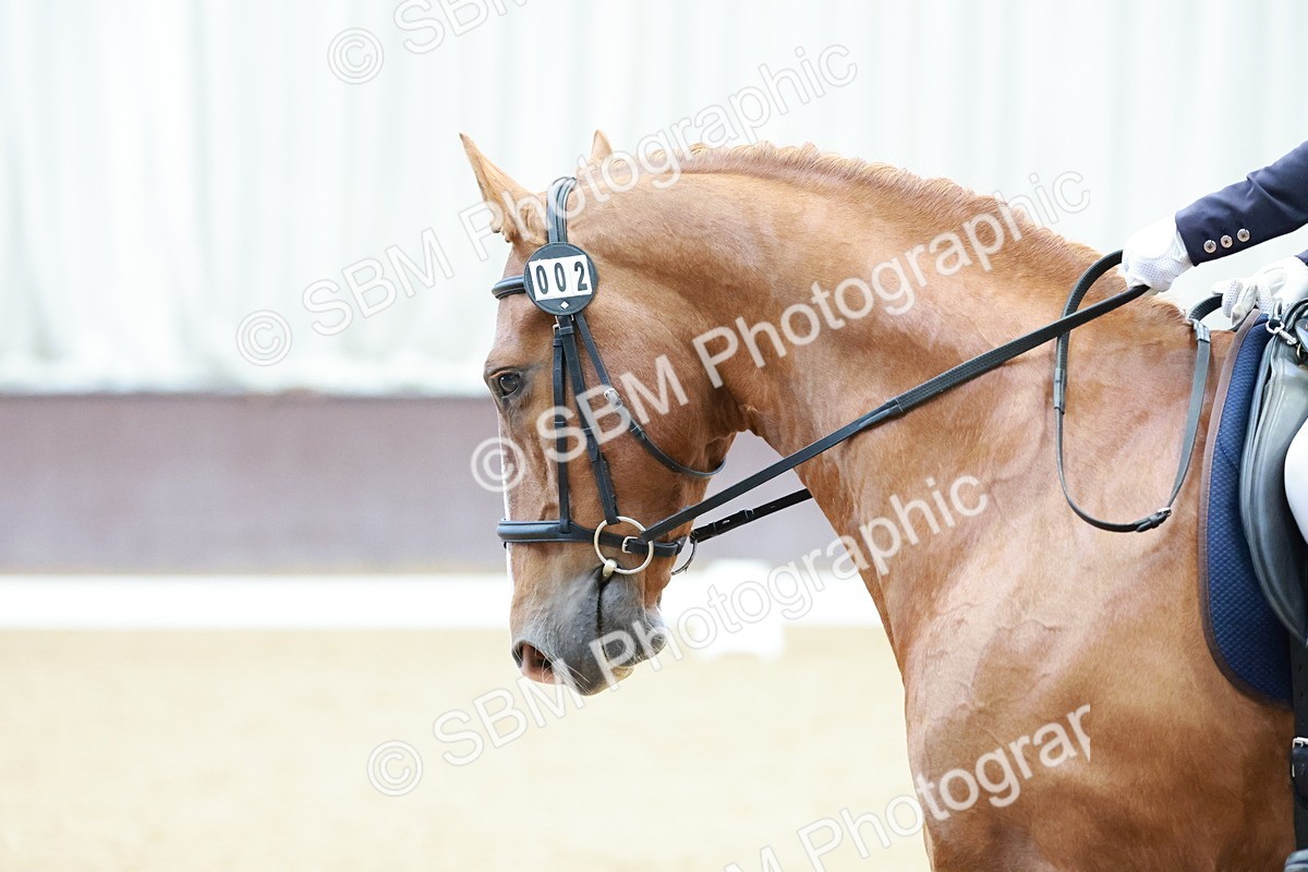 SBM_000797 - Class 3 - Prelim 2