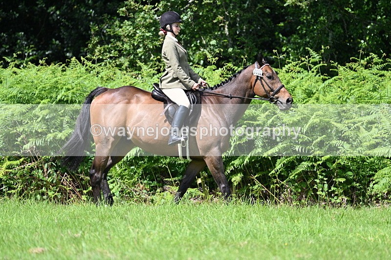 WJ7_1513 - Class 11 Condition & Turnout