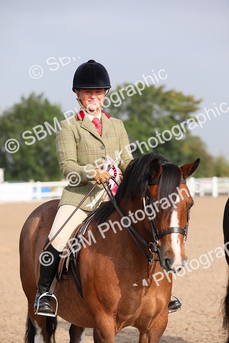 SBM_10173 - Class 302 Ridden M&M -Large Breeds