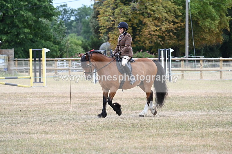 WJ7_0310 - Class 6 Ridden Mountain and Moorland