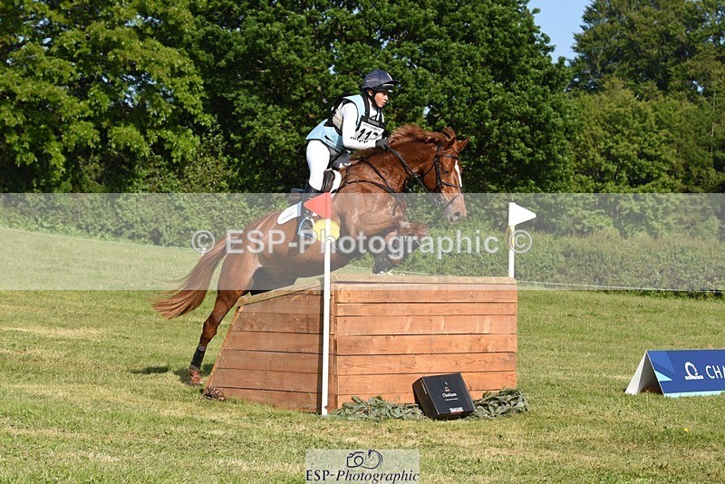 230527-173158-14163 - 112-BILLY_MAPLE-Kitty_King-XC