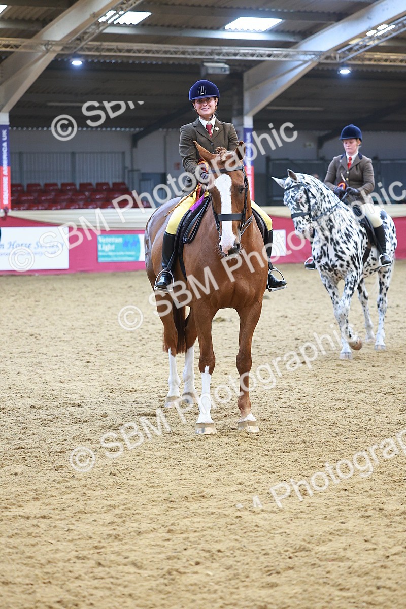 SBM_12698 - Class 103 - HOYS Veteran Qualifier - Ridden Pre Vet