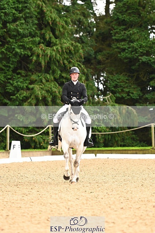 231020-142959-10266 - 207-CARRICK.DIAMOND.BARD-Alex.Holman-DR