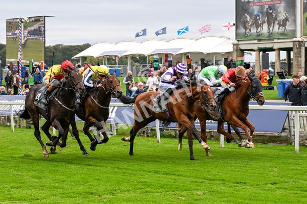 101025-Race 2-Astrazar-0148 - Race 2 British EBF £100,000 Final at York