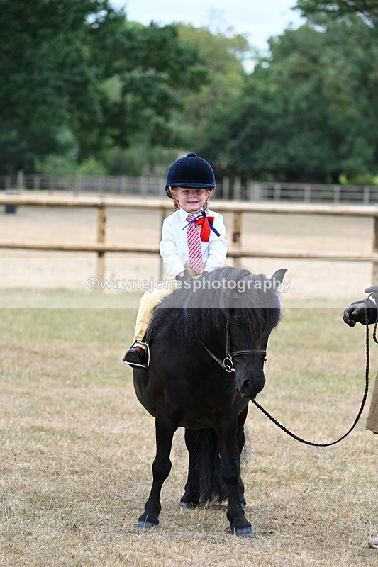 WJ7_8599 - Class 4 Prettiest Mare up to 14.2hh