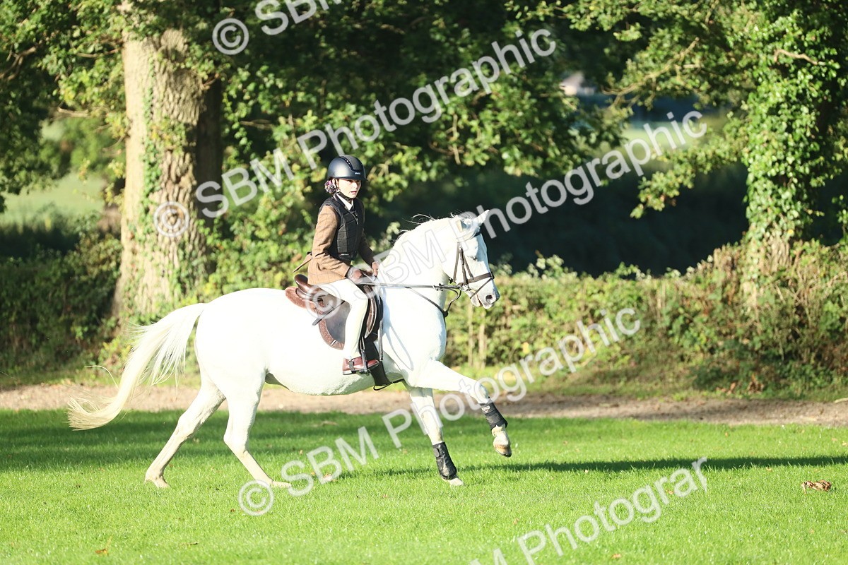 SBM_31962 - S28 - Nursery Stakes Working Hunter Pony