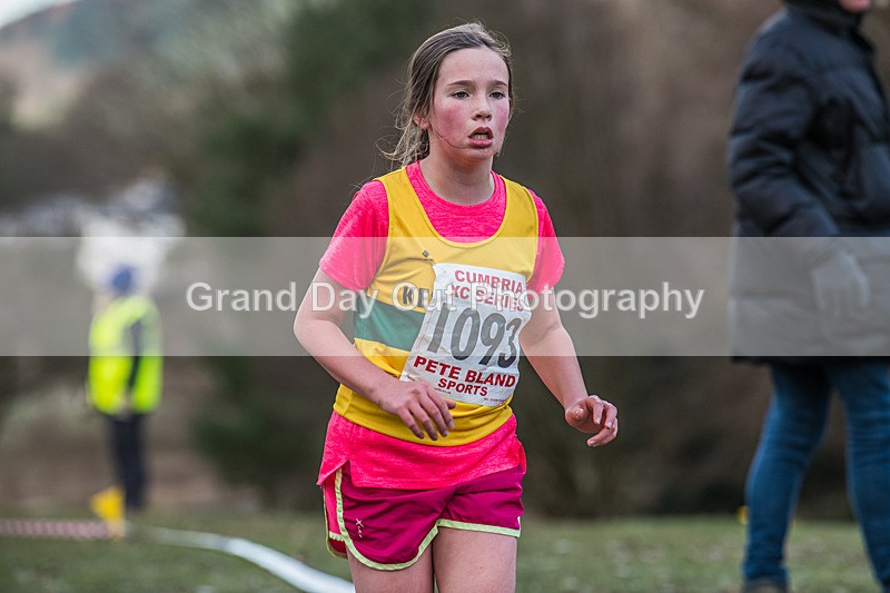 Cumbria XC-132 - Cumbria Cross Country Championships (Junior & Senior Races) Saturday 3rd January 2026