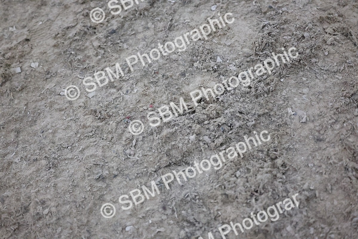 SBM_006013 - Evening Performance