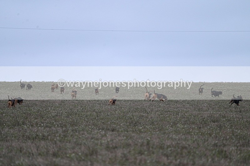 WJ7_9377 - Camera 1