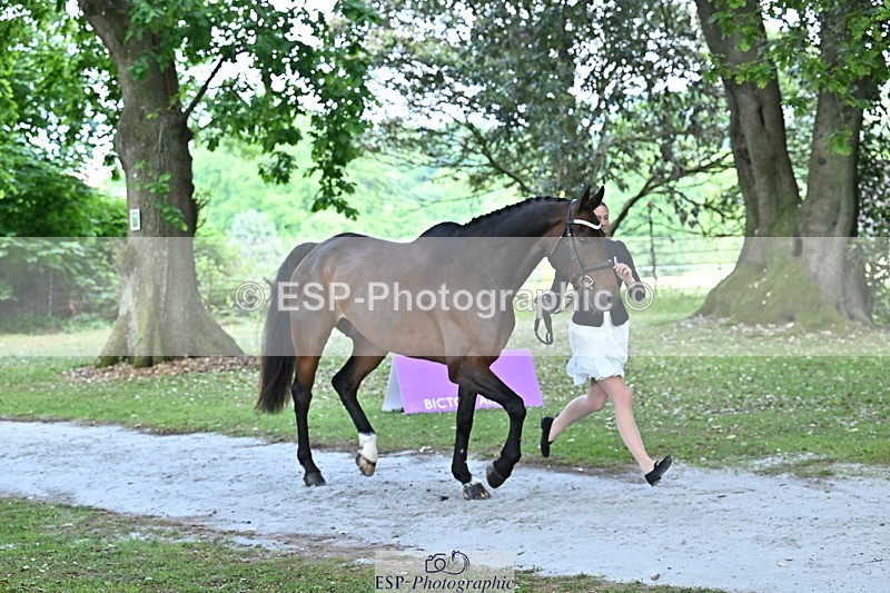 250521A-150939-00302 - B-302-Samantha.Lissington-LUCAS.STONE