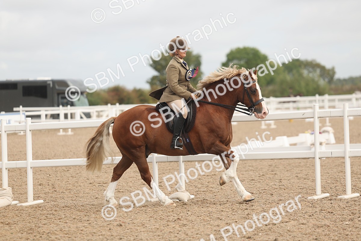 SBM_02040 - Class 14 - Ridden M&M Wildcard