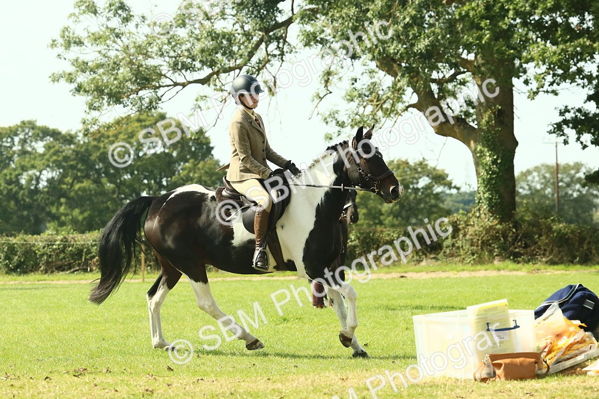 SBM_66527 - S34 - Rehabilitated Rescue Horse & Pony In Hand & Ridden
