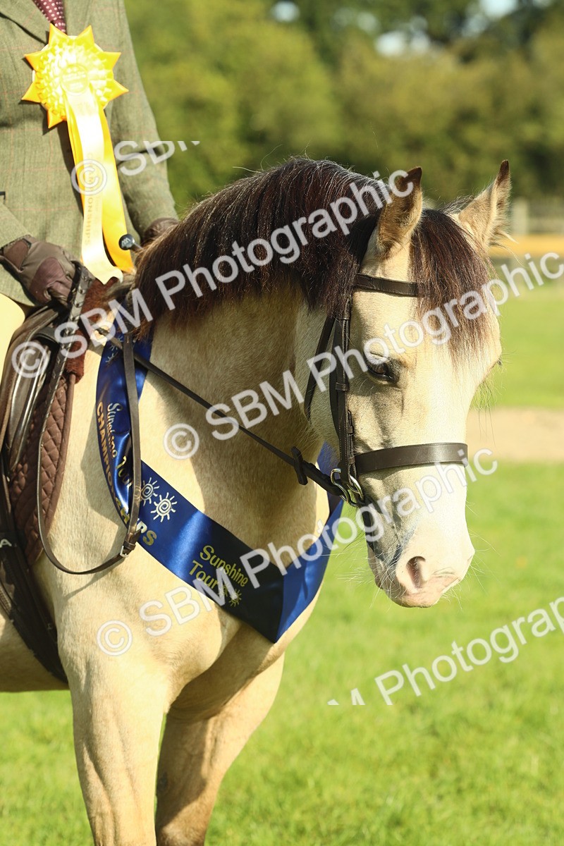 SBM_61107 - Starter Supreme Championship