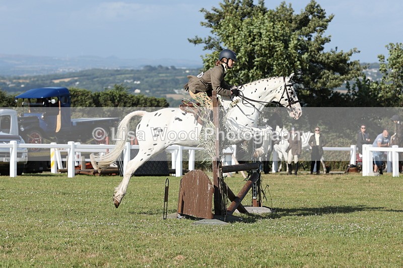 JPP_3165 - Class 21: Working Hunter 80cm