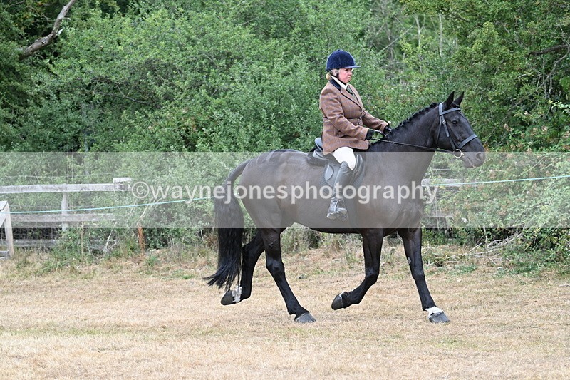 WJ7_7593 - Class 3 Family Mount