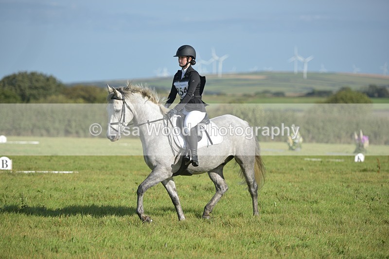 RAY_7359 - Class 2B: Trekenning Open: Dressage