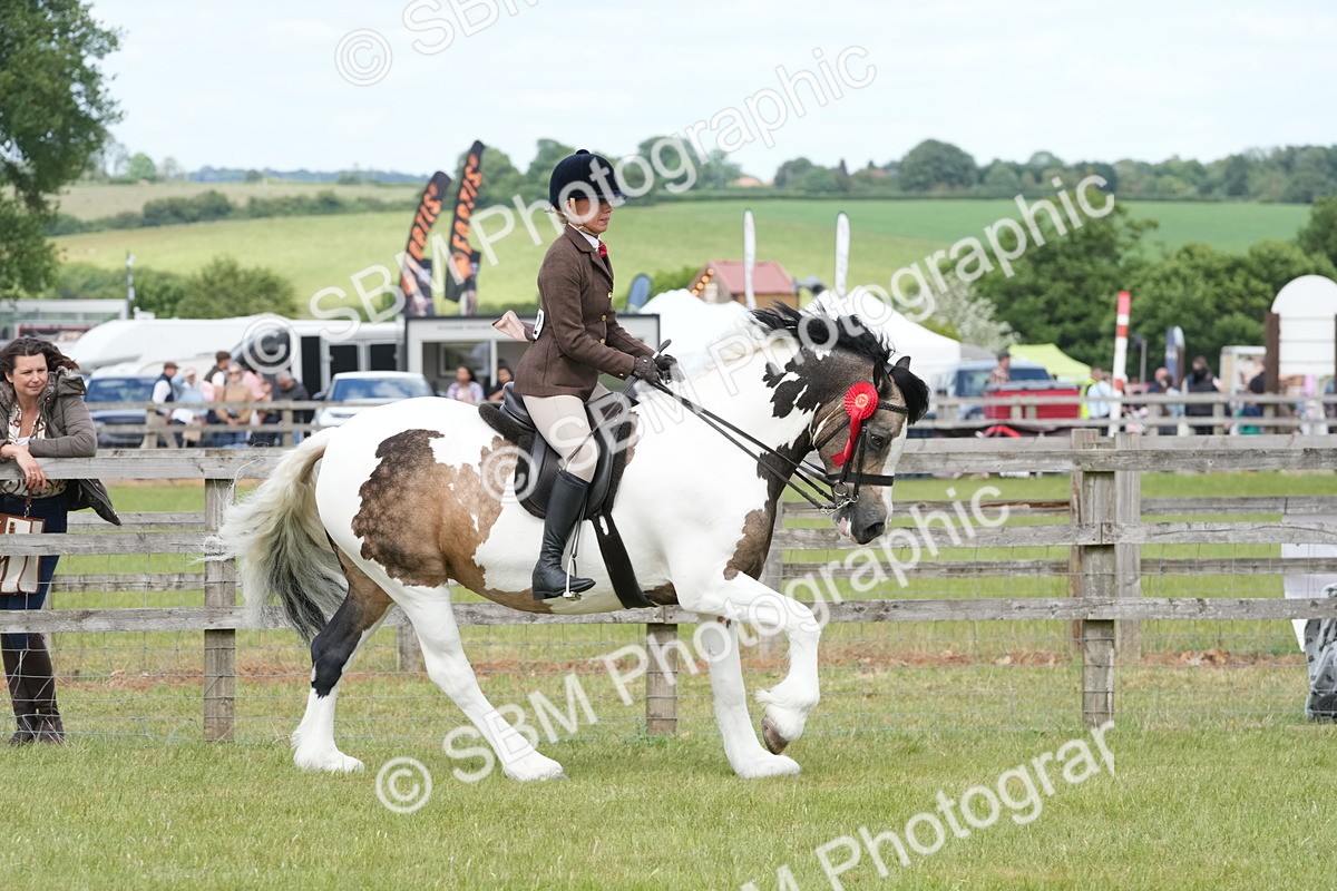 SBM_17665 - Class 107-108 - LIHS BSPS Performance Coloured Horse Pony