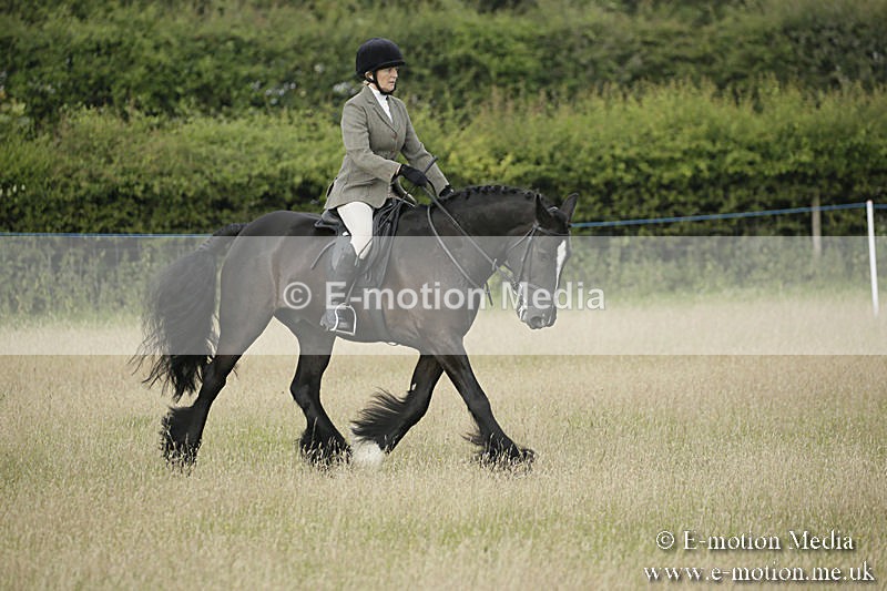 B230619-0171 - Bourne Valley Riding Club Summer Show 23/06/19