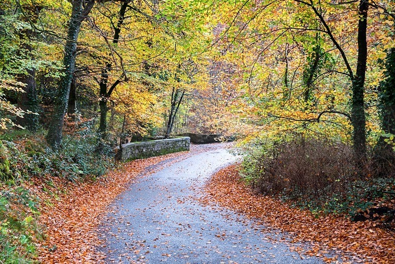 MF1_1065 - Letterkenny & Ramelton