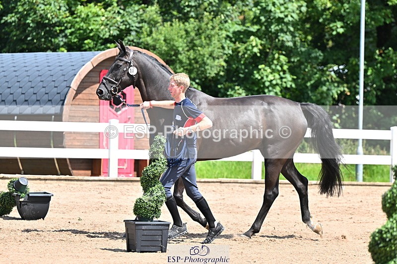 240718A-105245-01113 - Trot Up 12pm to 1pm