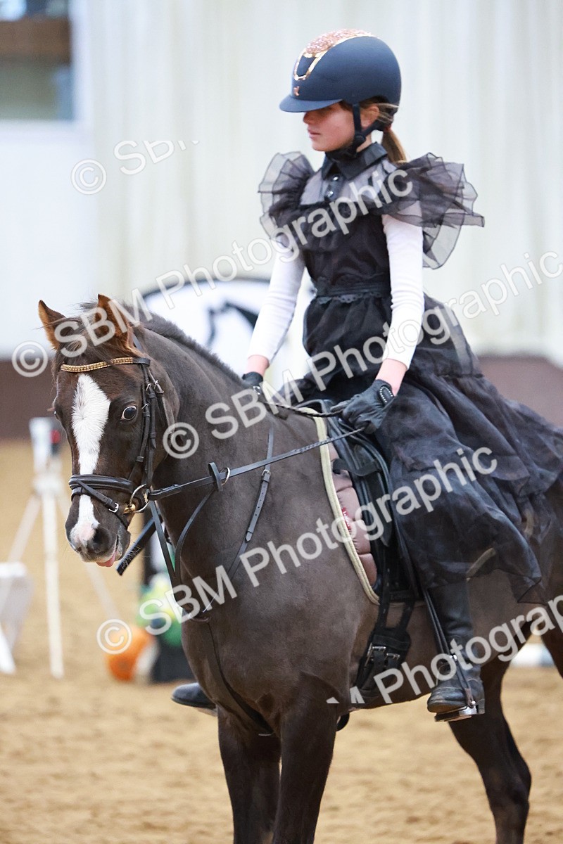 SBM_001547 - Class 3 - Horse & Hound (60cm)