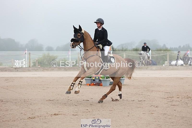 250424-083148-02360 - Cls 25 Young Horse 5yr old