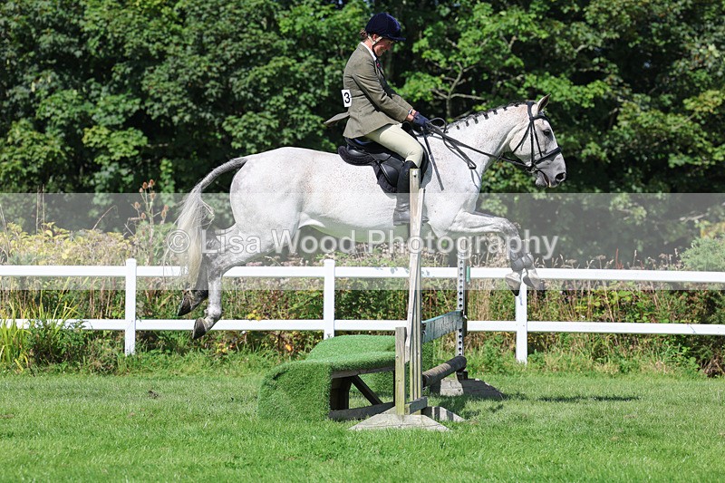 3E7A8578 - Class 5: Working Show Horse