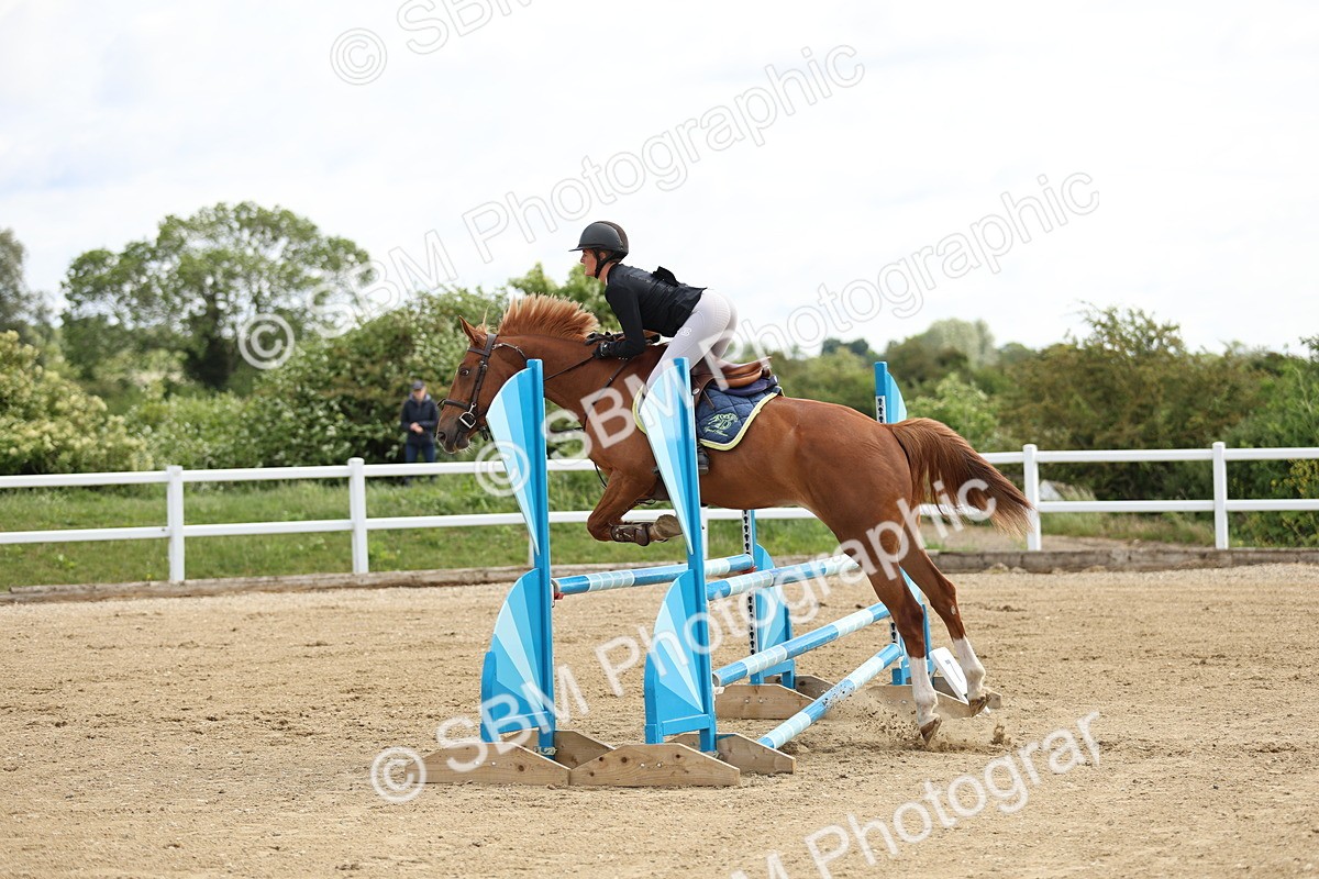 SBM_000081 - Class 2 - Senior British Novice - 90cm
