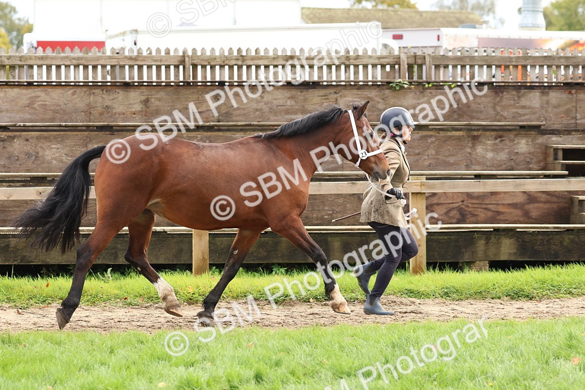 SBM_40753 - S25 -  Veteran In Hand