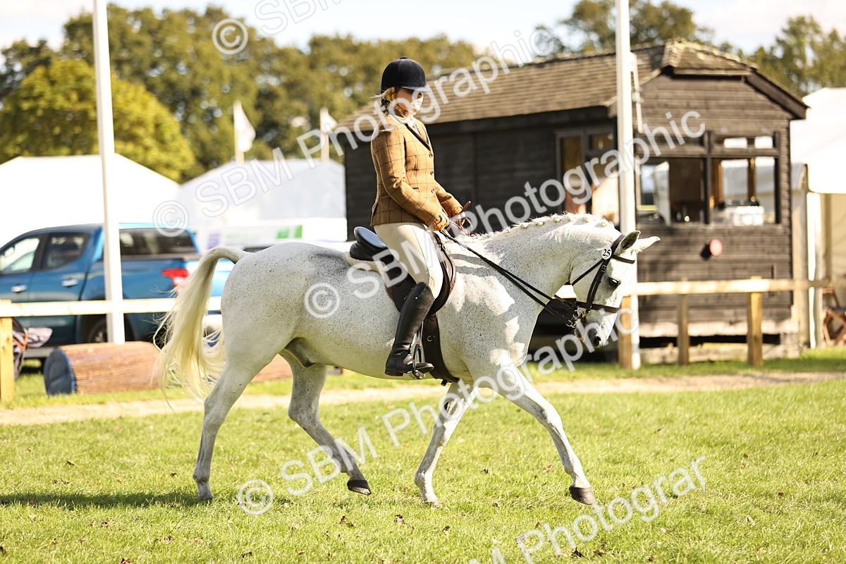 SBM_26397 - S6 - Novice & Newcomers Ridden Horse